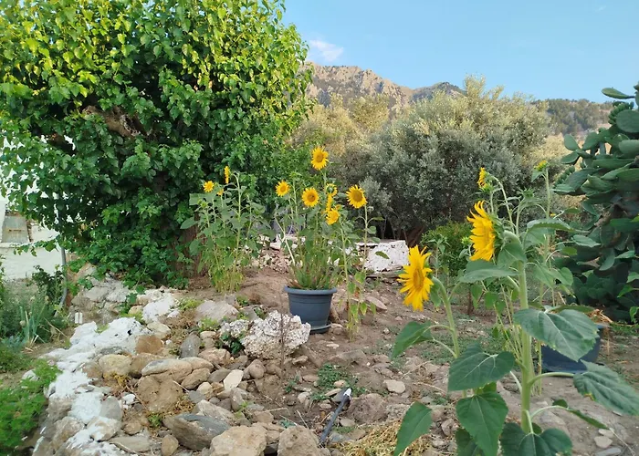 Grossvaters Haus - Ein 150 Jahre Altes Steinhaus By Interhome Holiday home Kos Town